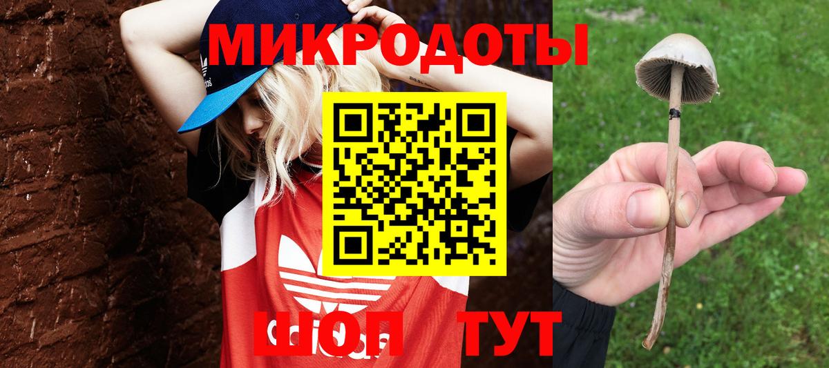 Псилоцибиновые грибы GOLDEN TEACHER Коломна